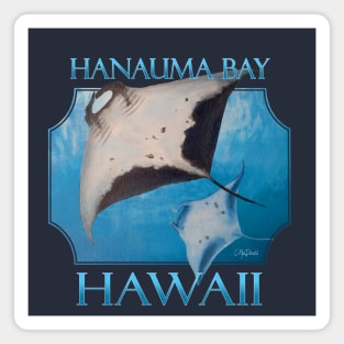 Hanauma Bay Hawaii Manta Rays Sea Rays Ocean Magnet